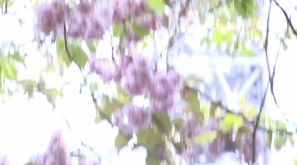 Junior XL, ‘It felt like moving forward, but you’ve been going around in circles’ (2019). Video still. Courtesy TT, London.