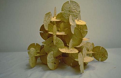 Ortega - Tortillas Construction Module