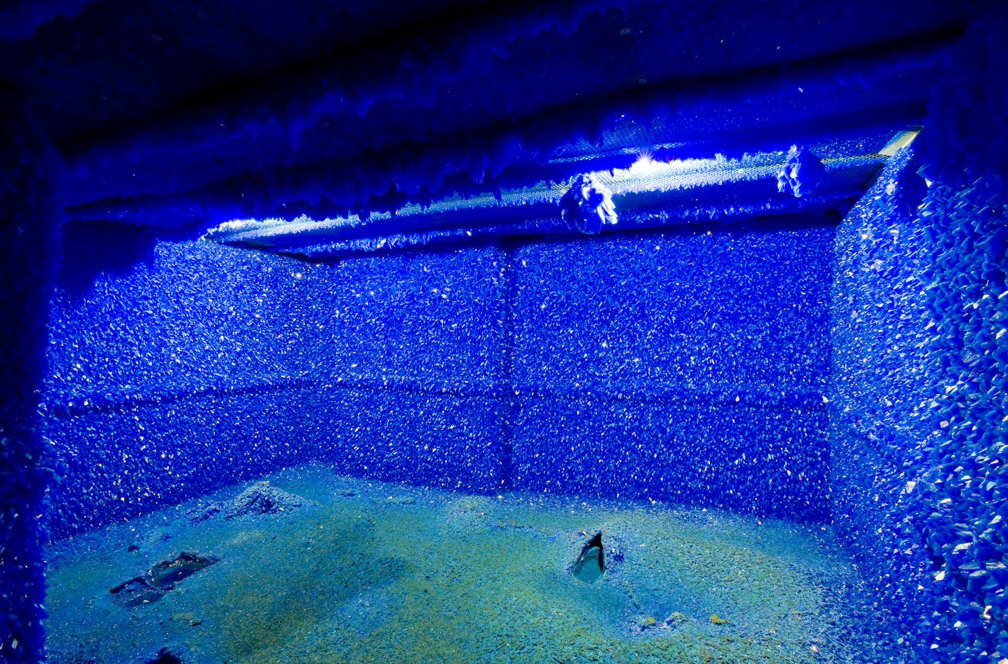 Roger Hiorns' Seizure 2008