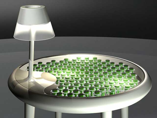 Moss Table by Alex Driver and Carlos Peralta