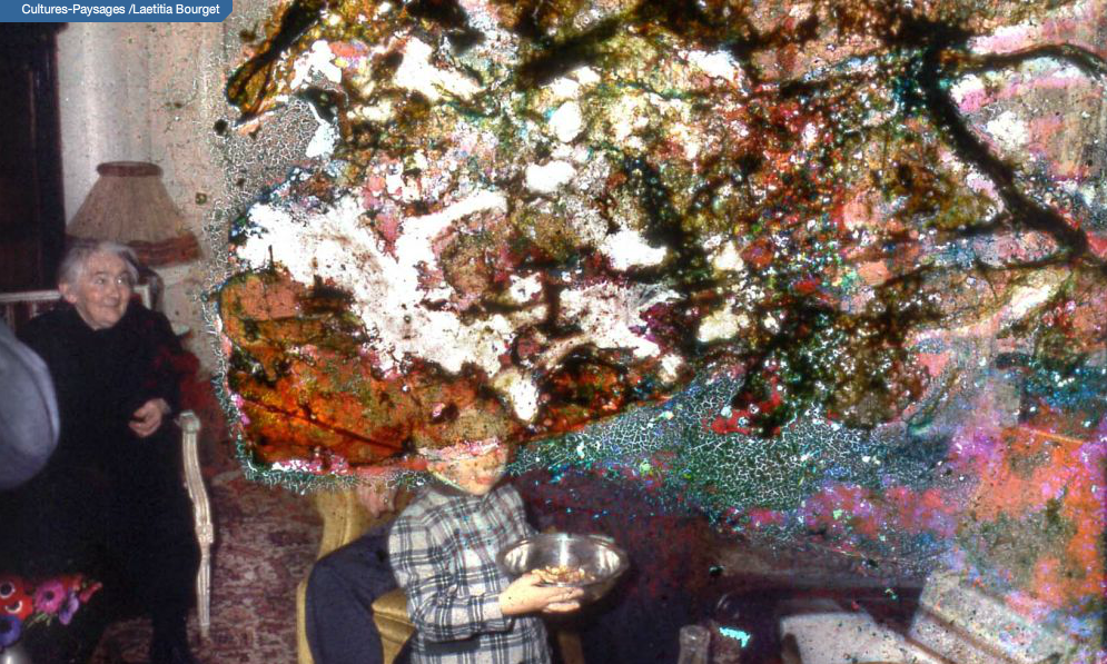 screenshot from  -Cultures-Paysages- de Laetitia Bourget - Video
