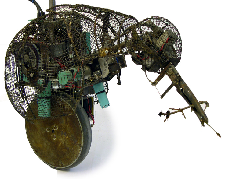 Jetsam (detail) by Tom Lewis