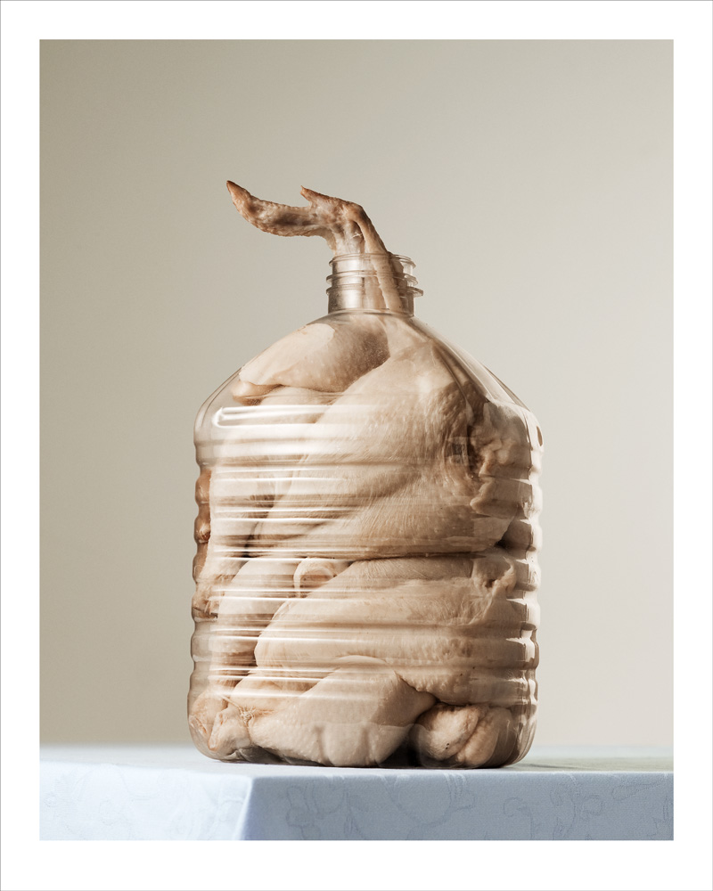 Chicken from Mæt series by Per Johansen