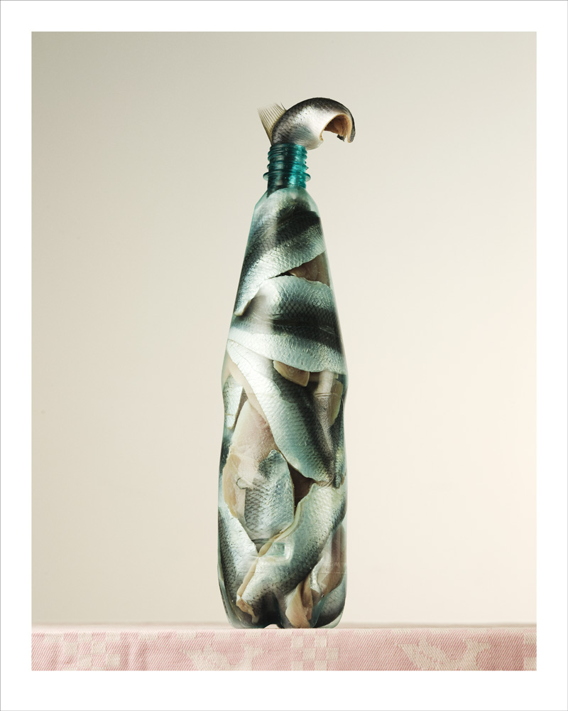 fish from Mæt series by Per Johansen - 2012