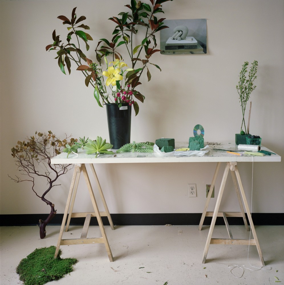 Camille Henrot, « Est-il possible d'être révolutionnaire et d'aimer les fleurs», 2012 - Photo courtesy of Palais de Tokyo