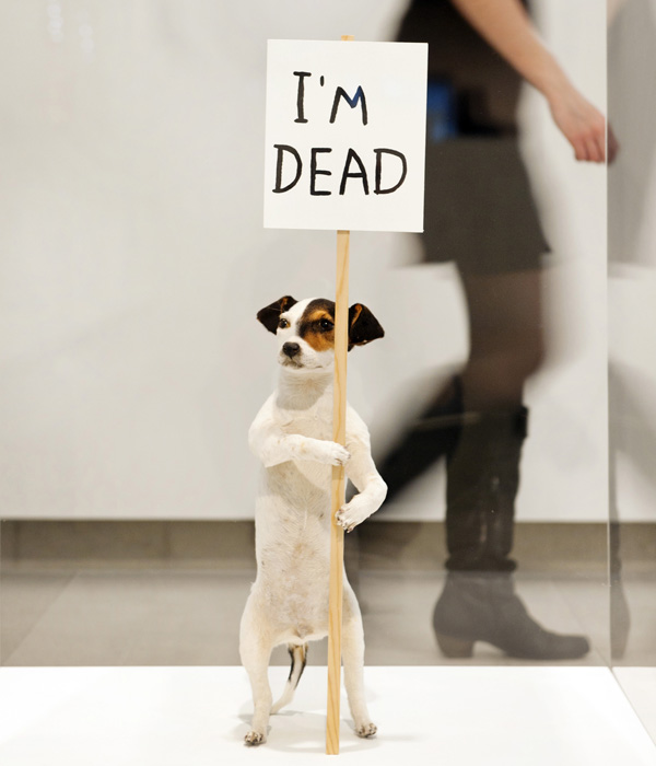 David Shrigley, I'm Dead (2010)