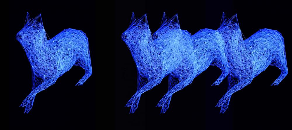Julien Salaud, Constellation de la chevrette, 2011. Courtesy galerie Suzanne Tarasiève, Paris