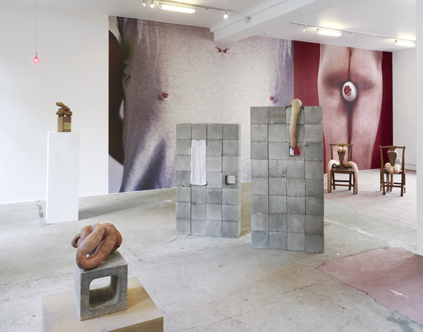 Installation View, Sarah Lucas, Make Love, March 2012
