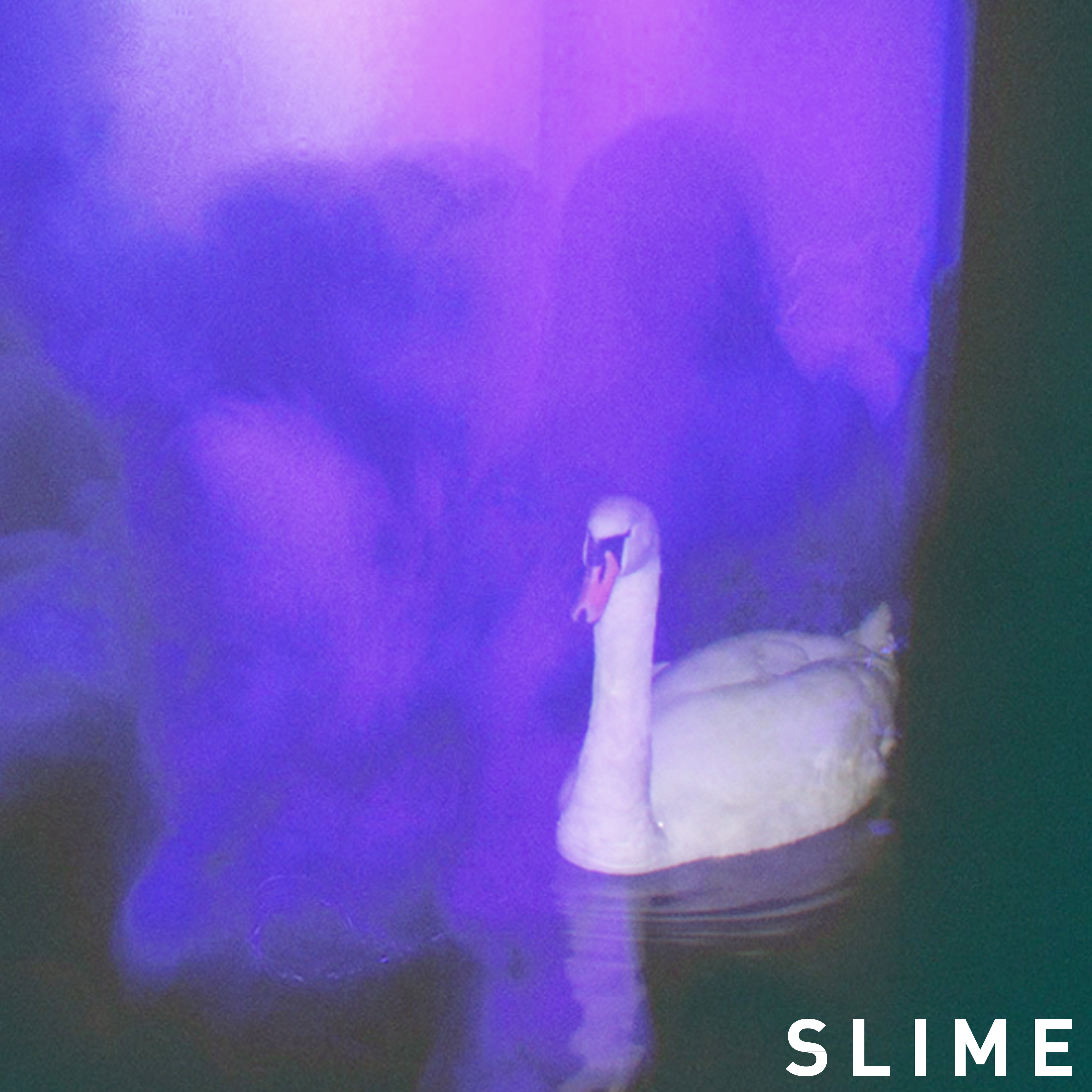 Slime Increases2 EP Cover