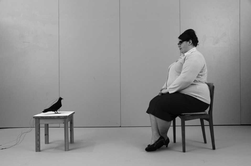 Strange Birds (2011) - An installation by Gemma Marmalade