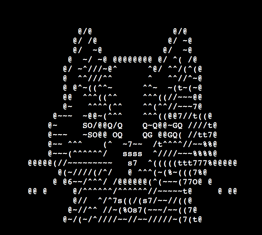 ASCII Cat Art, courtesy Glenda Moore (Image via The Photographers Gallery)