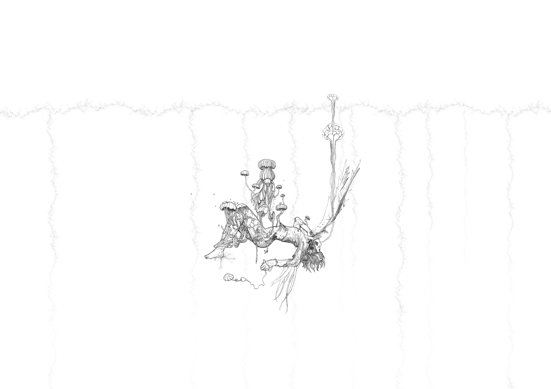 Christobal de Oliveira - Aalterate2 (image via Le Cube)