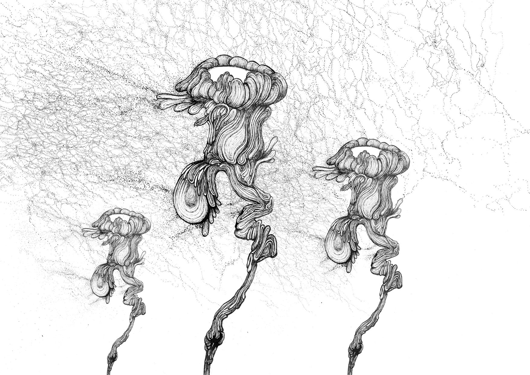 Christobal de Oliveira - Aalterate3 (image via Le Cube)