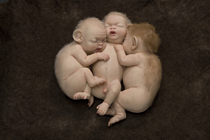 Patricia Piccinini - Litter - 2010 (Image via Haunch of Venison) Patricia Piccinini - Litter - 2010 (Image via Haunch of Venison)