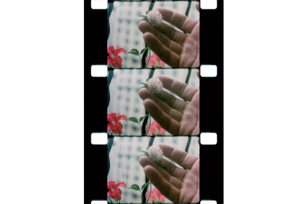 Jonas Mekas, 16mm Film Still. Image courtesy of Serpentine Gallery.
