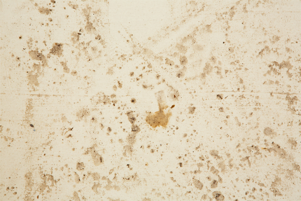 'Disco not Disco' (2013) night club residue on calico. Image courtesy of the artist.