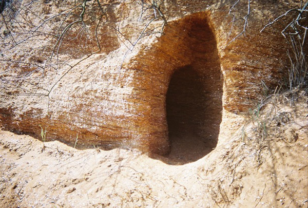 Documentation of production of On Vanishing Land (2013) by Mark Fisher and Justin Barton, photograph.