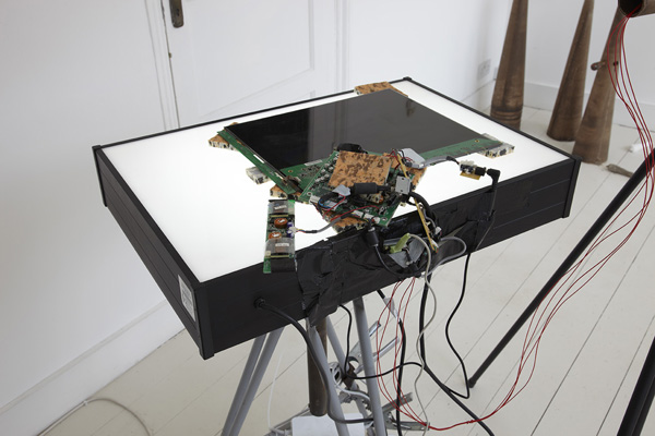 Melanie Jackson, The Urpflanze (Part 2) (2013).