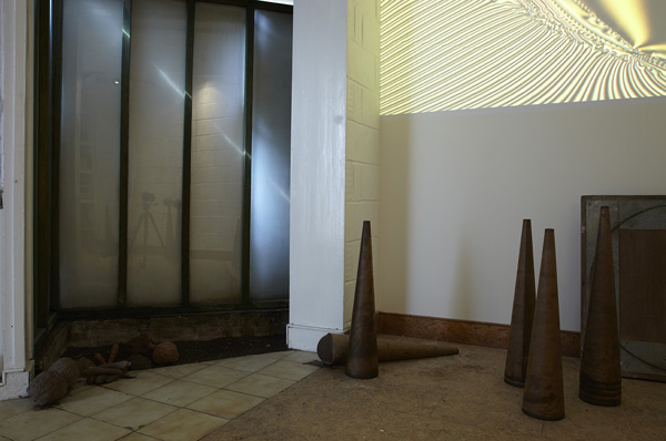 Melanie Jackson, The Urpflanze (Part 2) (2013).