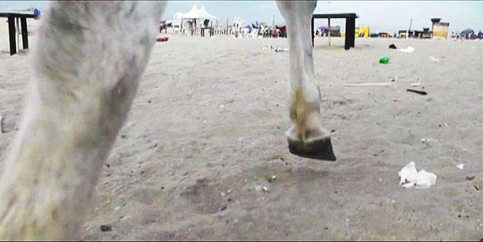 Karimah Ashadu, 'Hindsight - a horse's tale' (2012). Film still. Image courtesy of the artist.
