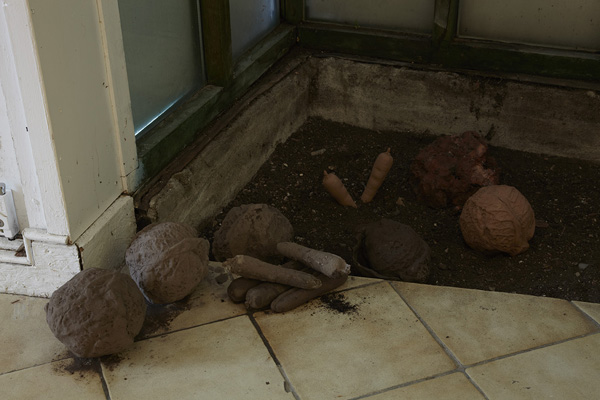 Melanie Jackson, The Urpflanze (Part 2) (2013).