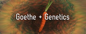 Melanie Jackson. Goethe + Genetics.
