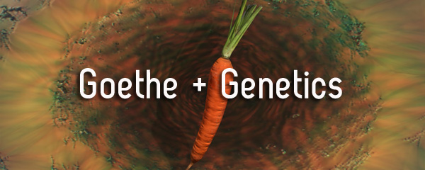 Melanie Jackson. Goethe + Genetics.
