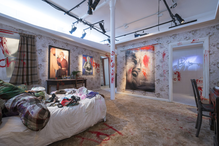James Franco - Psycho Nacirema - Installation view 2(courtesy of Pace London)
