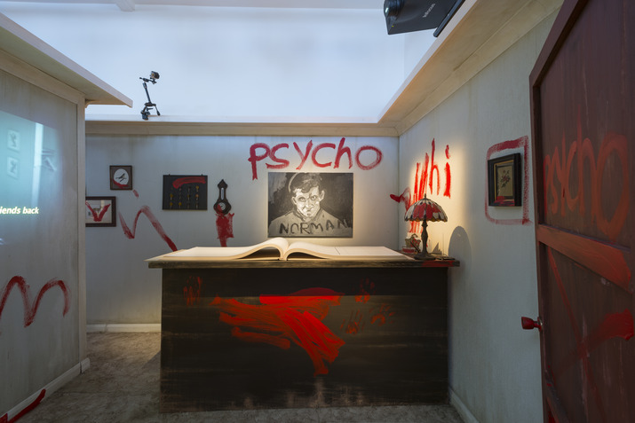 James Franco - Psycho Nacirema - Installation view (courtesy of Pace London)