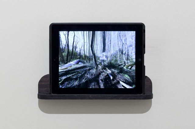 Katja Novitskova, 'Curiosity and Opportunity- Next Best Thing To Being There' (2012).