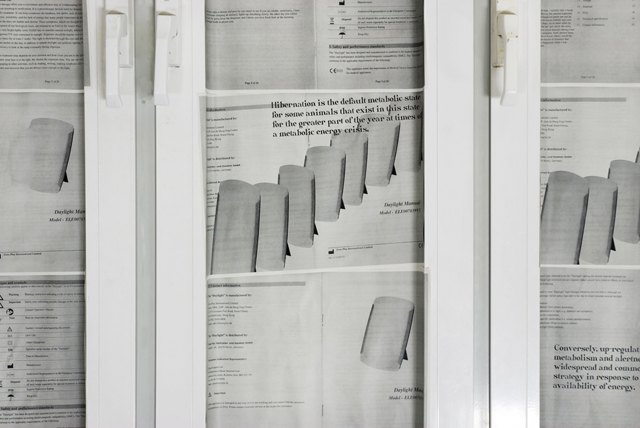Martin Kohout, 5006 years of daylight and silent adaptation (2014). Install view. Image courtesy of Exile.
