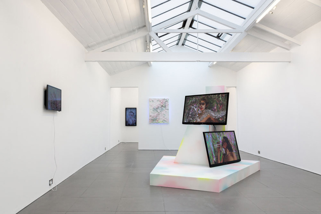 Adham Faramawy, HYDRA (2014), installation View. Courtesy of Cell Projects.