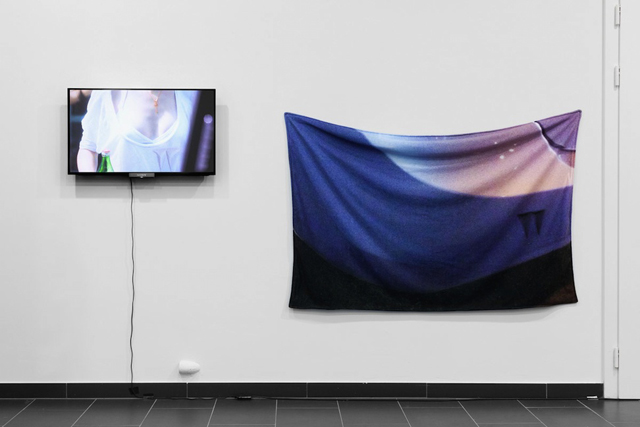 Kari Altmann, “Ttoshibaa- 10,000 Impressions” (2009 - ongoing). Photo by Gunnar Meier.