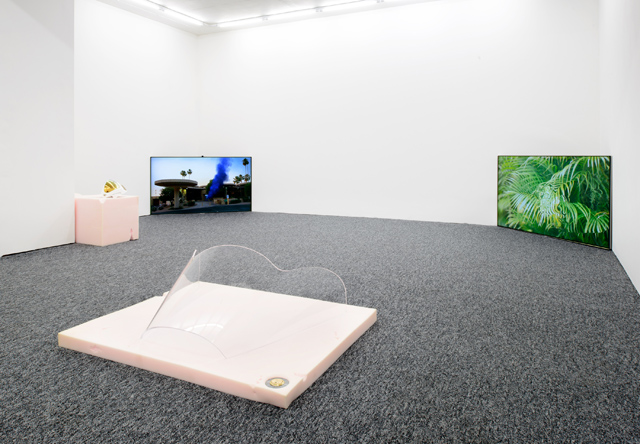 Andrew Norman Wilson, SONE exhibition view (2014). Courtesy PNI.