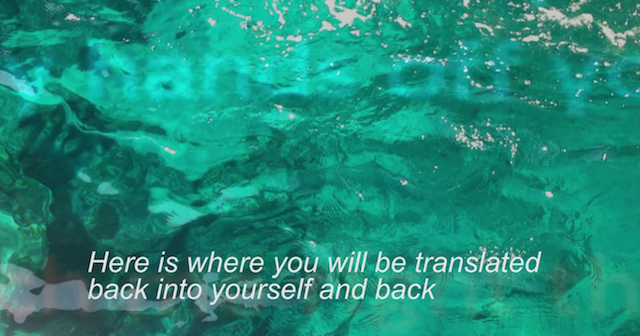Video still from "My Bodies". Image courtesy artist.