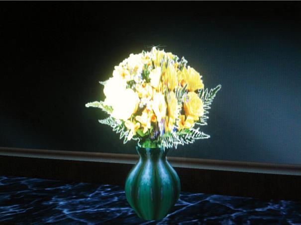 Sara Ludy, 'Bouquet' (2012).
