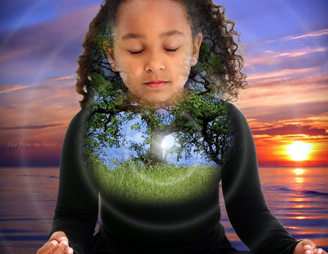 HolographicUniverse