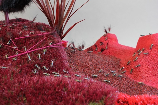 insectivore5