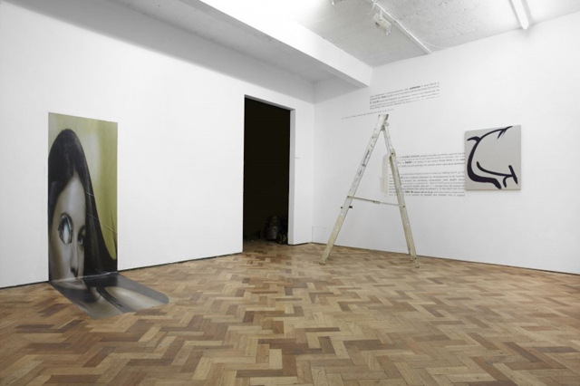 Gili Tal, REAL PAIN FOR REAL PEOPLE @ Lima Zulu installation view (2013). Photo by Tom Carter.