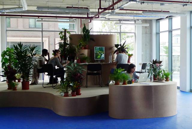 Julia Tcharfas, Tim Ivison, Rachel Pimm, and George Moustakas, 'Recent Work By Artists' (2013). Commissioned by Auto Italia. Courtesy the artist.