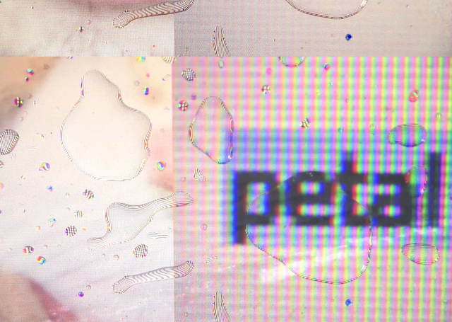 petal