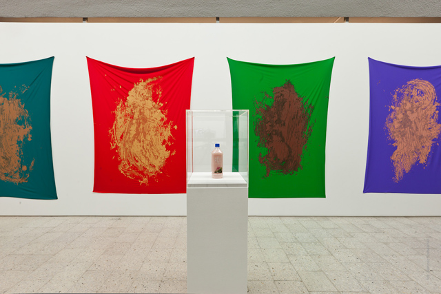 Pamela Rosenkranz, 'Untouched by the Air of the 21. Century (My Colour Hurts)' (2014) @ Private Settings. Installation view. Courtesy MoMAW.