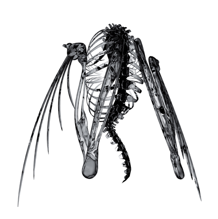 Heterocetera EP cover (front). Artwork by Alberto Troia.