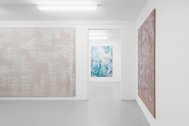 Tyra Tingleff, Closer Scrubs (2015) @ SALTS. Exhibition view. Photo by Gunnar Meier. Courtesy the artist.