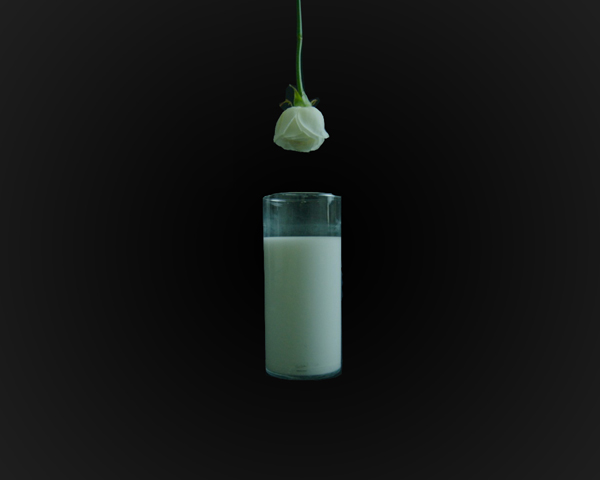 Zoë Hough, The Microbial Verdict- You Live Until You Die