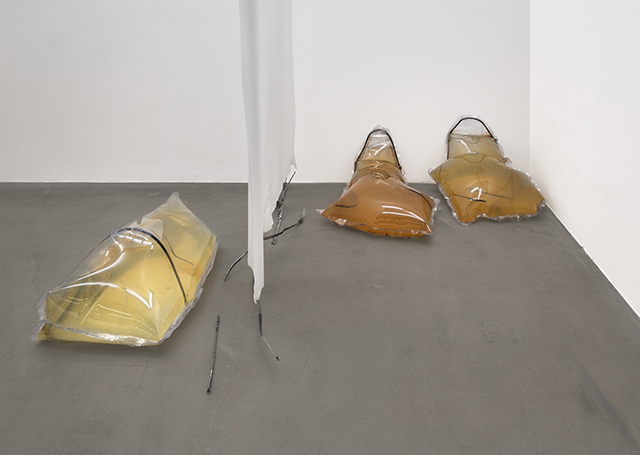 OB_Installation view_Cannibals_2015_Photocredit_Joachim Schulz_Courtesy Croy Nielsen_1