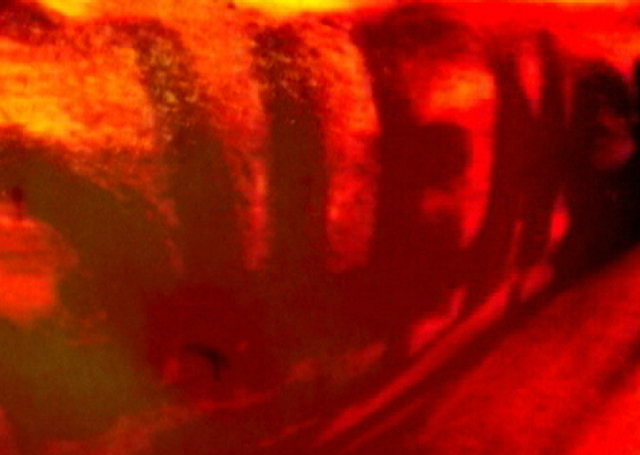 Evelin Stermitz, video still from 'Silence', 2009. Courtesy of the artist.