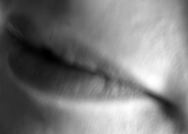 Women_Body_Stories_2005