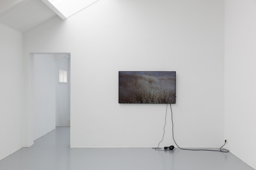 Rosa Aiello, 'Serving' (2015) @ Violent Incident (2015). Install view. Courtesy Vleeshal, Middelburg.