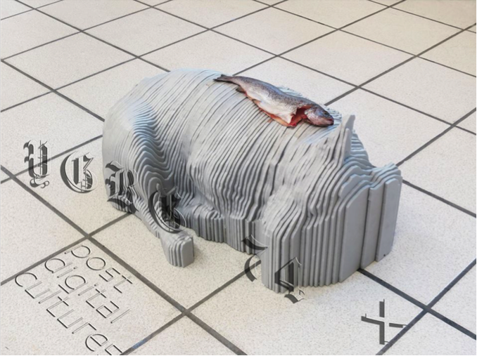 YGRG 74 @ Museum of Post Digital Cultures (2015). Image: Dorota Gaweda. Artwork: Antoine Renard, 'String Figures, Multispecies Muddles, Staying With The Trouble' (2015). Courtesy the artist.